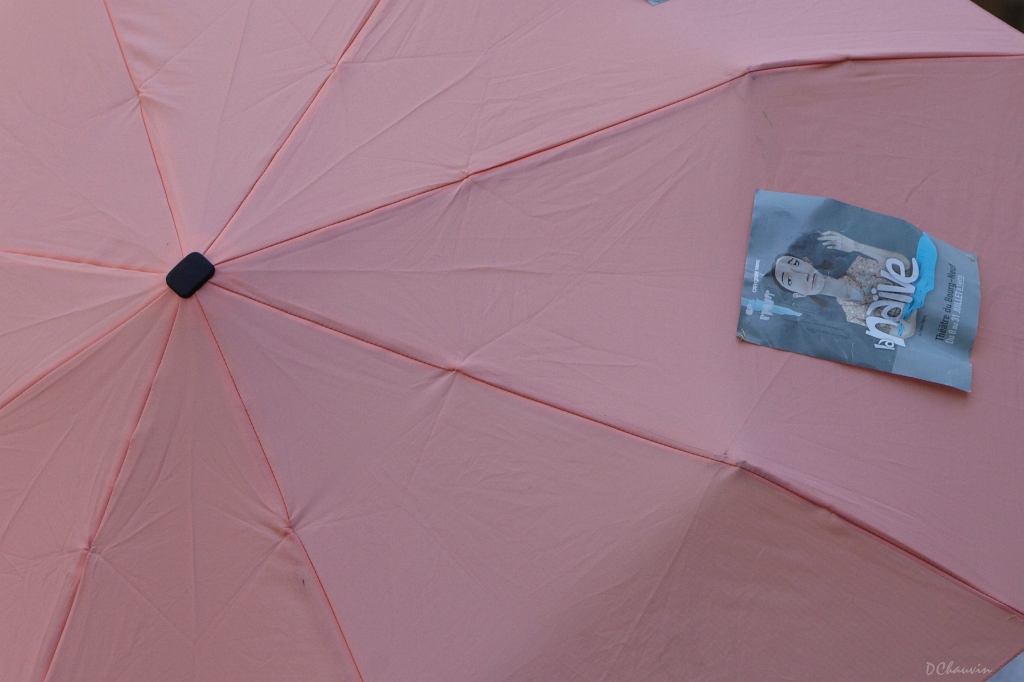 2010-07-avig-ambiance (16)_GF.jpg