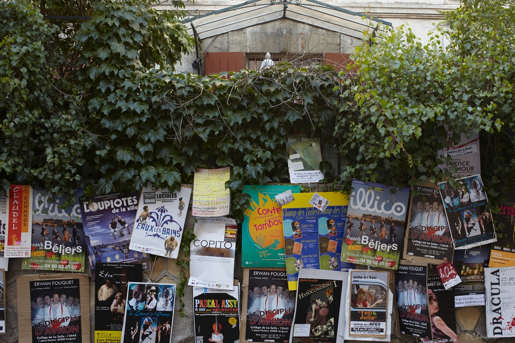 2010-07-avig-ambiance (59)_GF.jpg