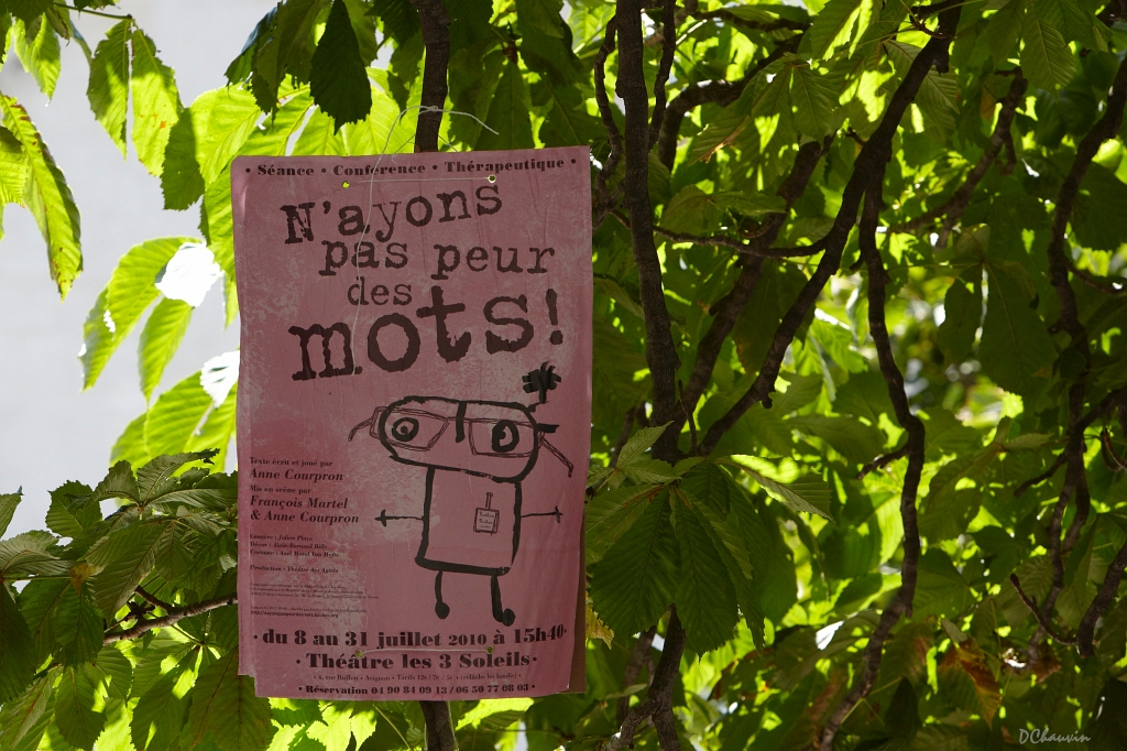 2010-07-avig-ambiance (66)_GF.jpg