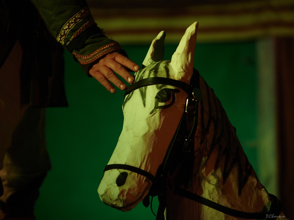 2010-07-avig-cheval (14)_GF.jpg