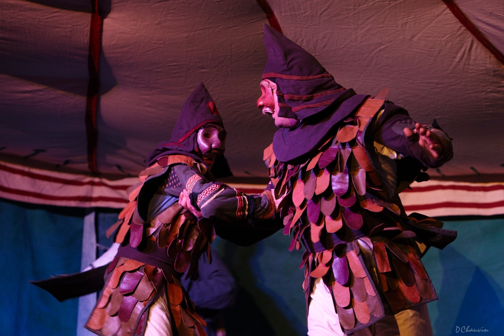 2010-07-avig-cheval (4)_GF.jpg