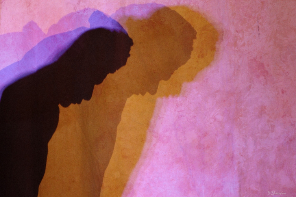 2010-07-avig-cheval (6)_GF.jpg