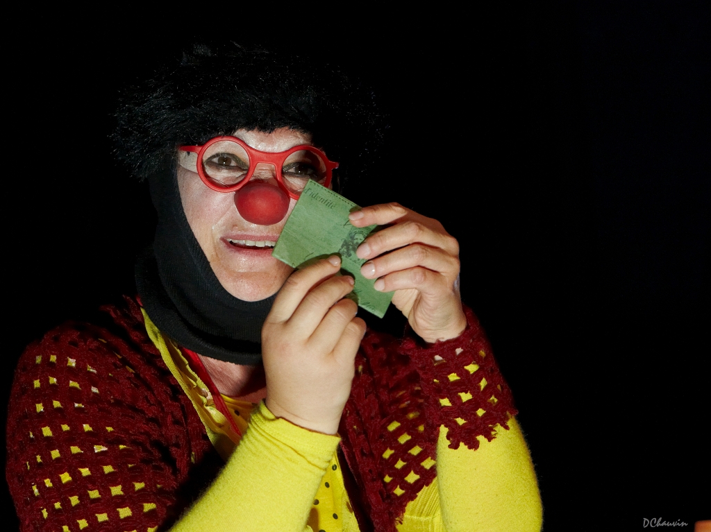 2010-07-avig-clown (12)_GF.jpg