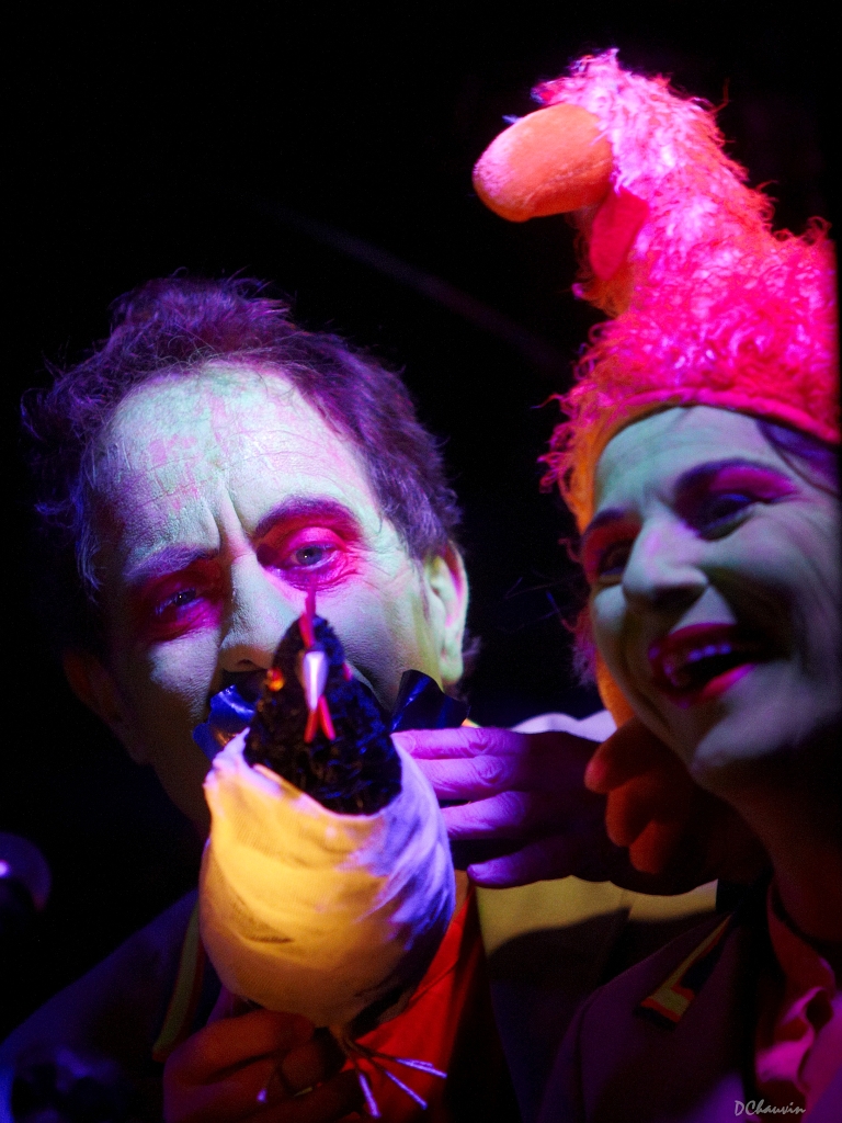 2010-07-avig-coqs (5)_GF.jpg