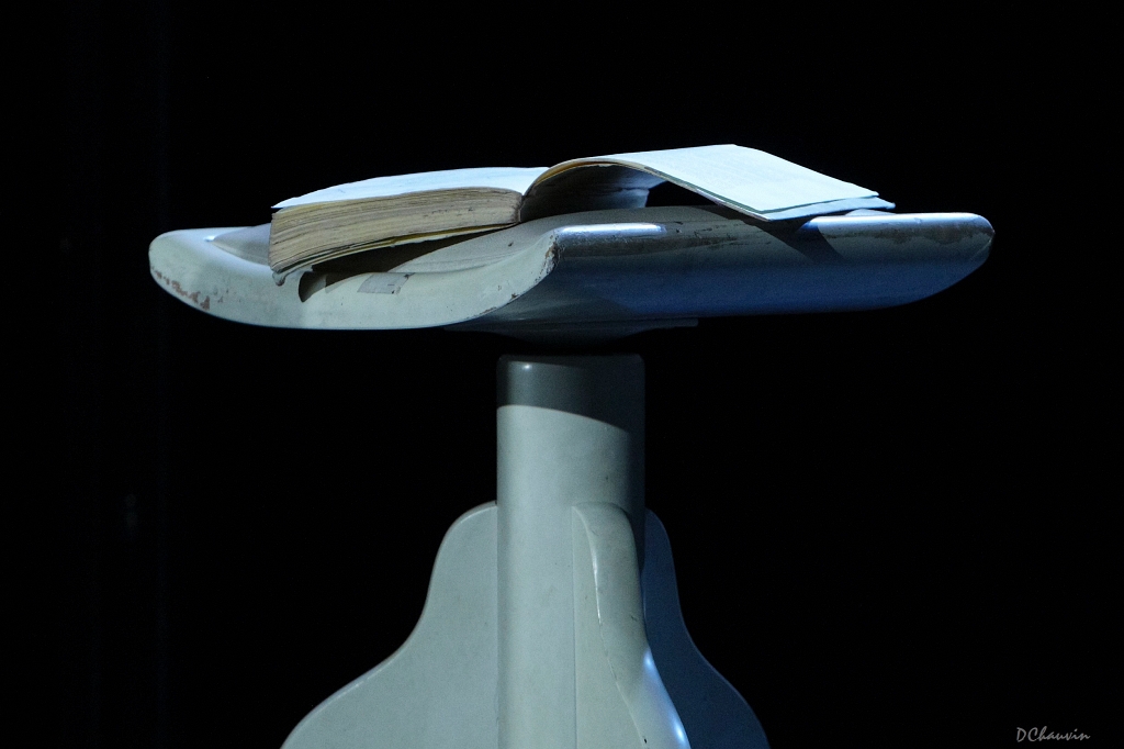 2010-07-metamorphoes (21)_GF.jpg