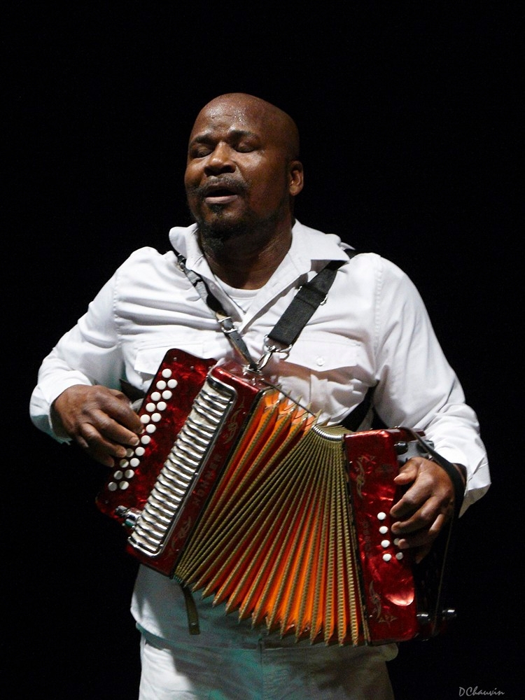 2010-07-avig-singe (10)_GF.jpg