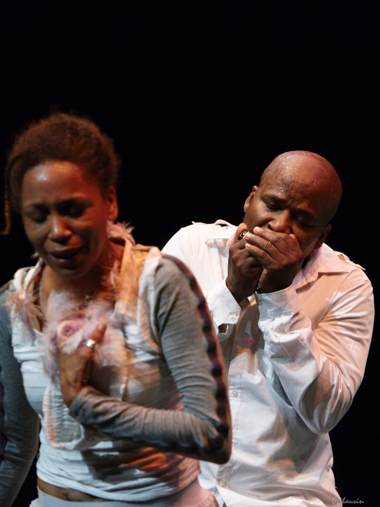 2010-07-avig-singe (12)_GF.jpg