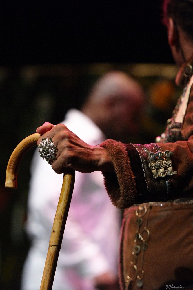 2010-07-avig-singe (15)_GF.jpg