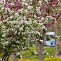 2009-04-pref-OK (12)