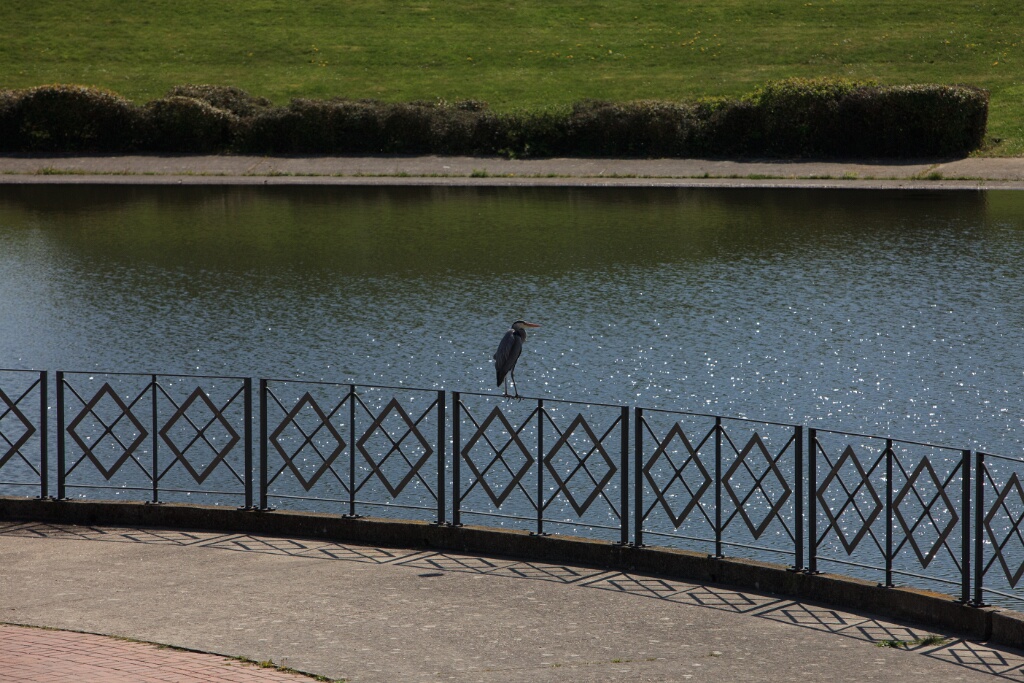 2011-04-18-114950-louviere-OK