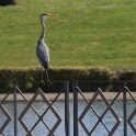 2011-04-18-115306-louviere-OK