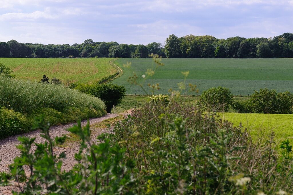 2011-05-12-153302-chaussee-jc-OK