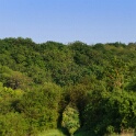 2011-04-25-172002-chaussee-jc-OK
