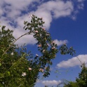 2011-05-14-085653-chaussee-jc-OK
