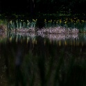 2011-05-09-154428-cote-carriers-OK