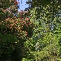 2011-04-22-113502-gency-OK