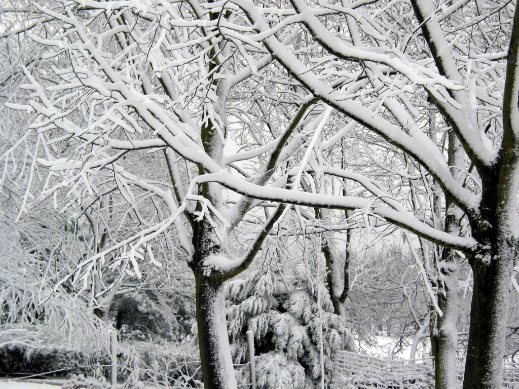 2003-hiver-parc-OK (3)