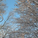 2003-hiver-parc-OK (11)