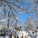 2003-hiver-parc-OK (19)