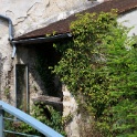 2011-05-03-144721-couleuvre-OK