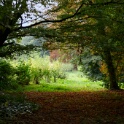 2010-09-08-114726