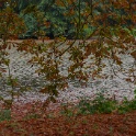 2010-09-08-115046