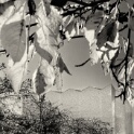 2011-10-31-120036-t95-nb-OK
