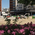 2010-07-07-145133